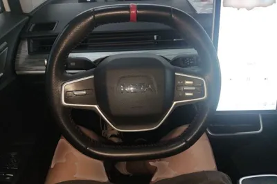 NETA V