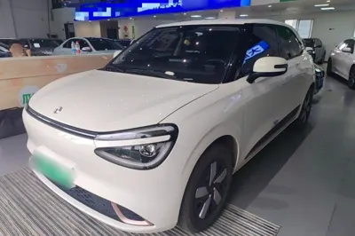 Dongfeng NAMMI 01