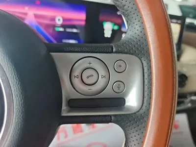 Wuling Bingo
