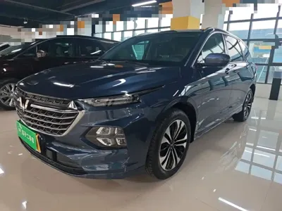 Wuling Victory