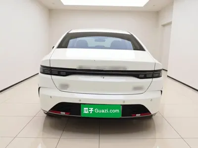 BYD Destroyer 05