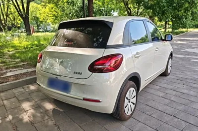Wuling Bingo