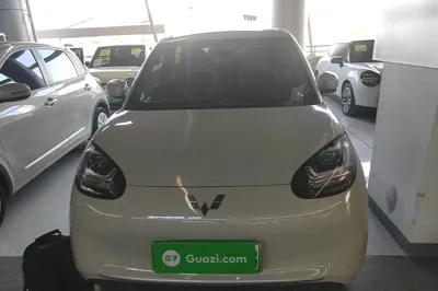 Wuling Bingo