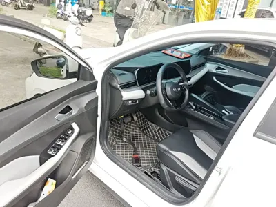 Geely Binrui