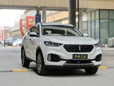 WEY Wey VV6