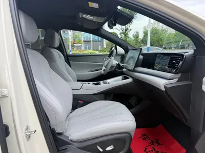 BYD 海狮06