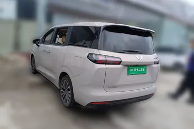 Wuling Wuling Starlight 730