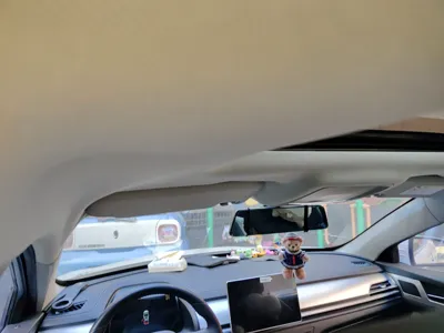 BYD Qin Pro New Energy