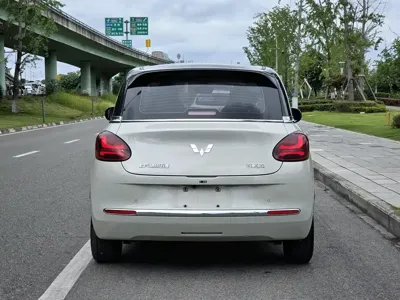 Wuling Bingo