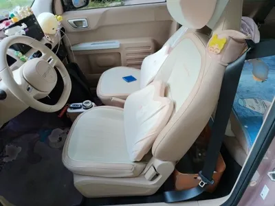 Geely Galaxy Panda