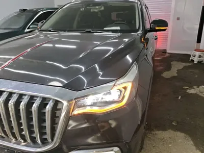 Hongqi Hongqi HS7