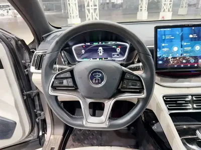 BYD PLUS New Energy