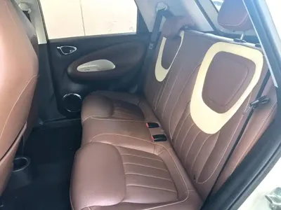 Wuling Bingo