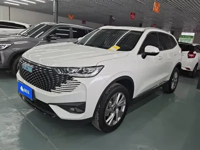 Haval H6 New Energy