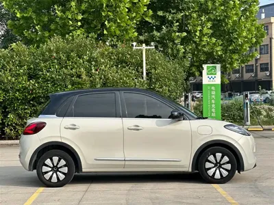 Wuling Bingo