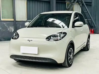 Wuling Bingo