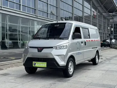 Wuling Wuling EV50