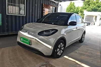 Wuling Bingo