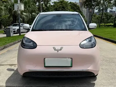 Wuling Bingo
