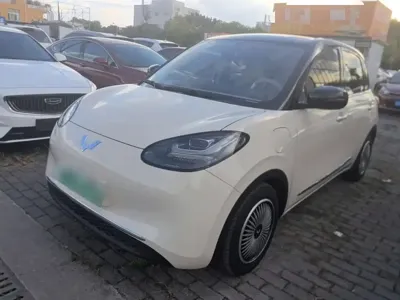 Wuling Bingo