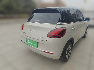 Wuling Bingo