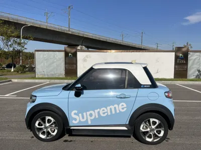 Changan Lumin