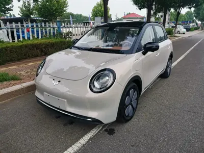 Wuling 缤果Pro