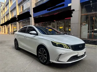 Geely Binrui