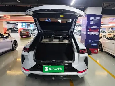 BYD L EV