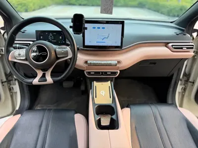 BYD Seagull
