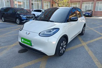 Wuling Bingo