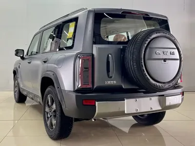 Haval 哈弗猛龙燃油