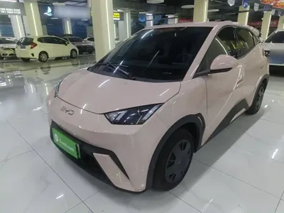 BYD Seagull