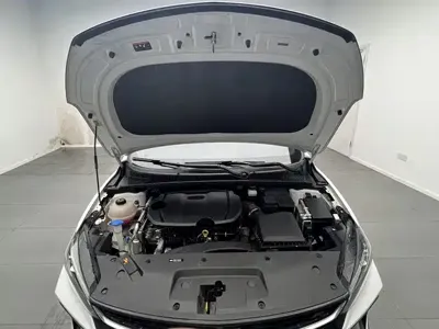 Geely Binrui