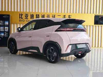 BYD Seagull
