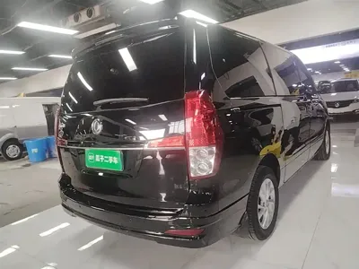 Fengxing Lingzhi PLUS