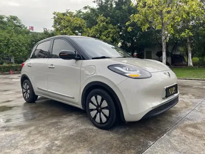 Wuling Bingo