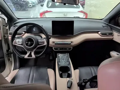 BYD Seagull
