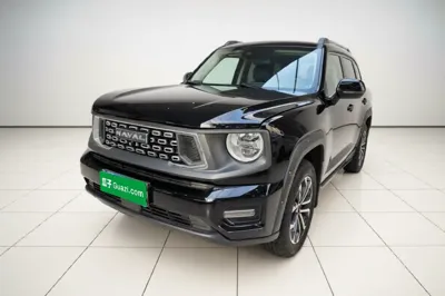 Haval H Dog