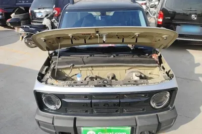 Geely Galaxy Panda