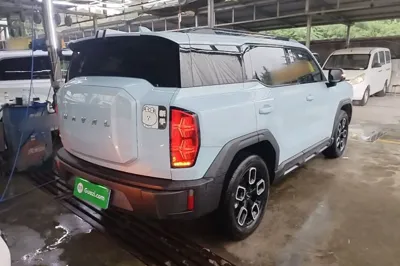 Haval X DOG