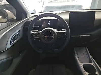 BYD Seagull