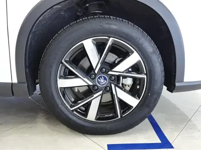 BYD Pro New Energy