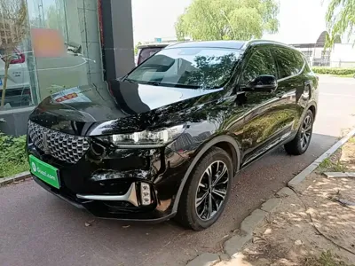 WEY Wey VV6
