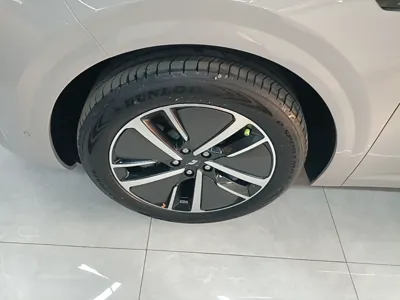Li Auto L6