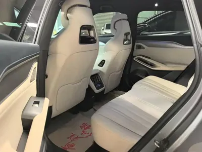 BYD L EV