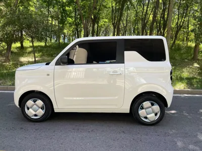 Geely Galaxy Panda