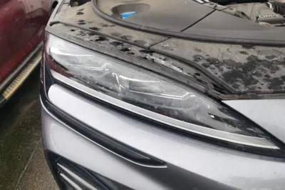 BYD Song PLUS New Energy