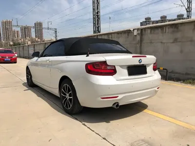 BMW 2 Series (Import)