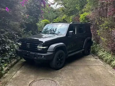 Tank Tank 300